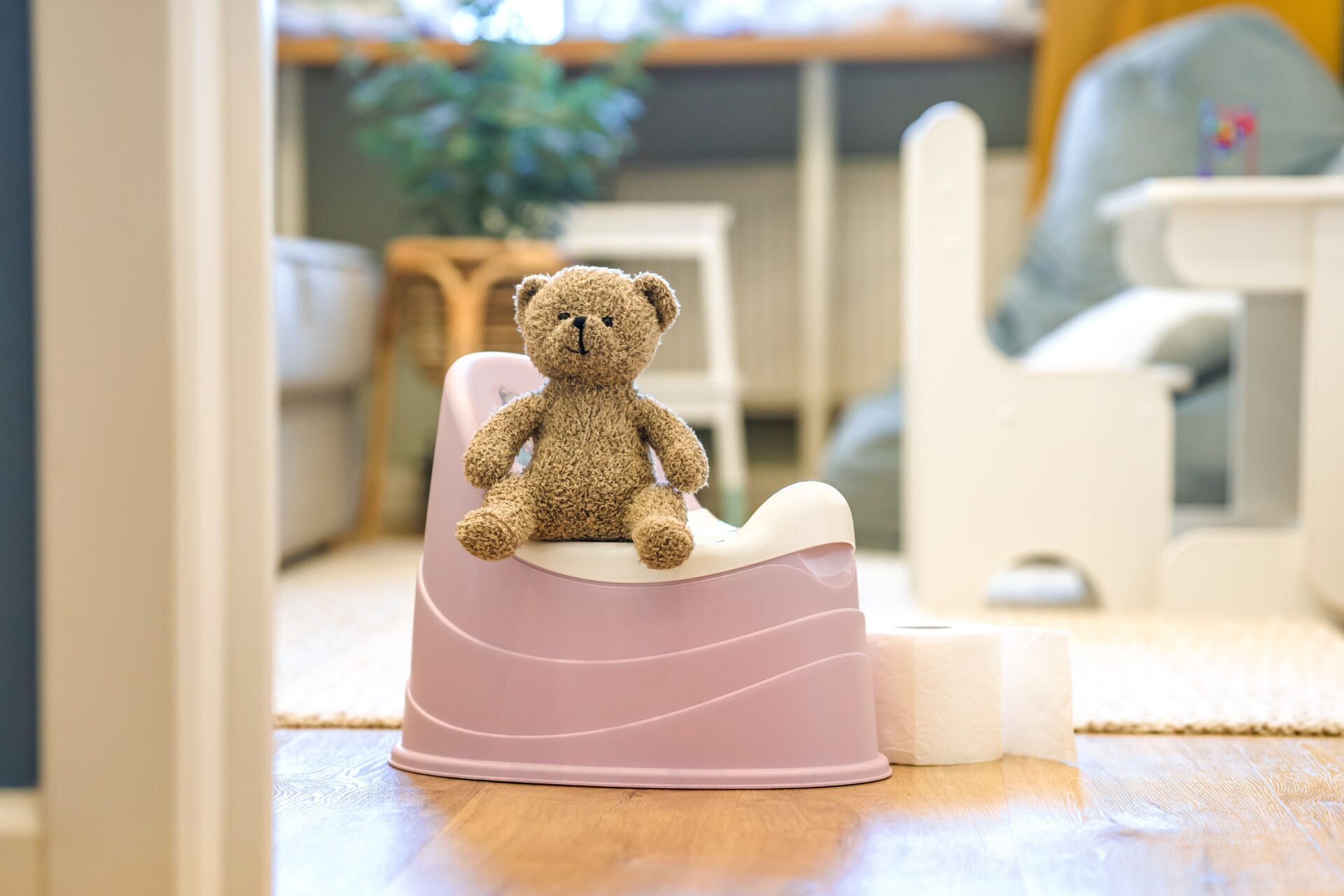 Potty Ritual Potty Training is a Cultural Phenomenon - SunRae Solutions